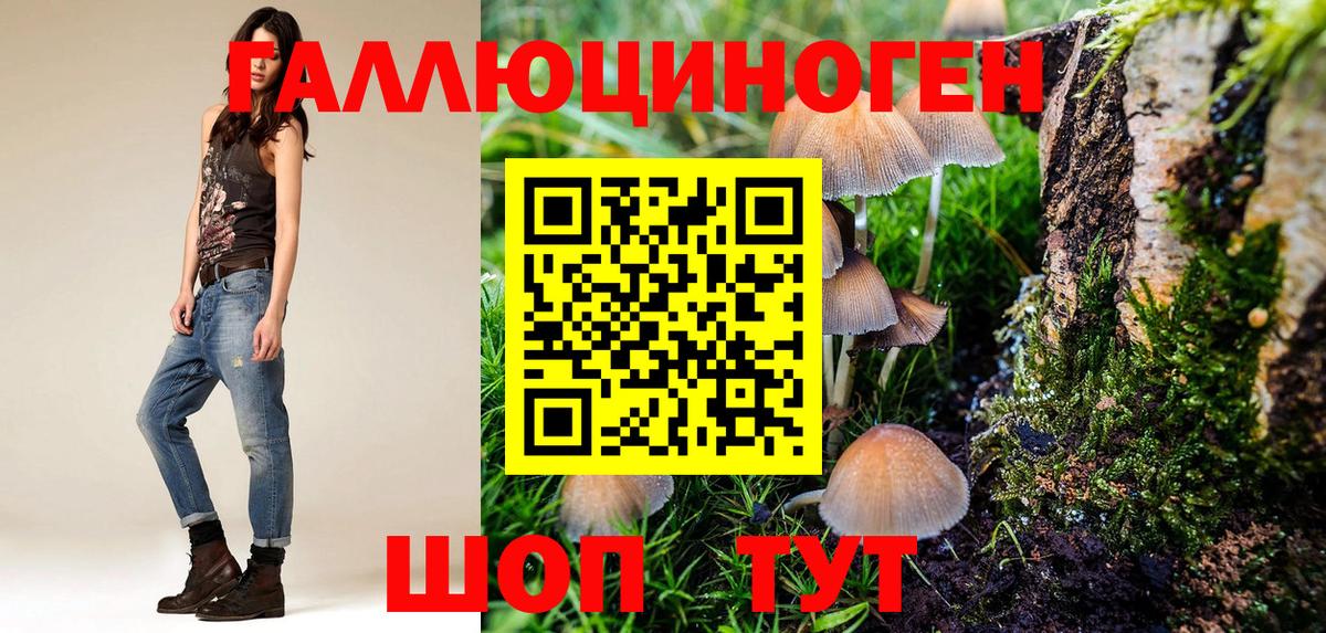 Галлюциногенные грибы прущие грибы Волгодонск